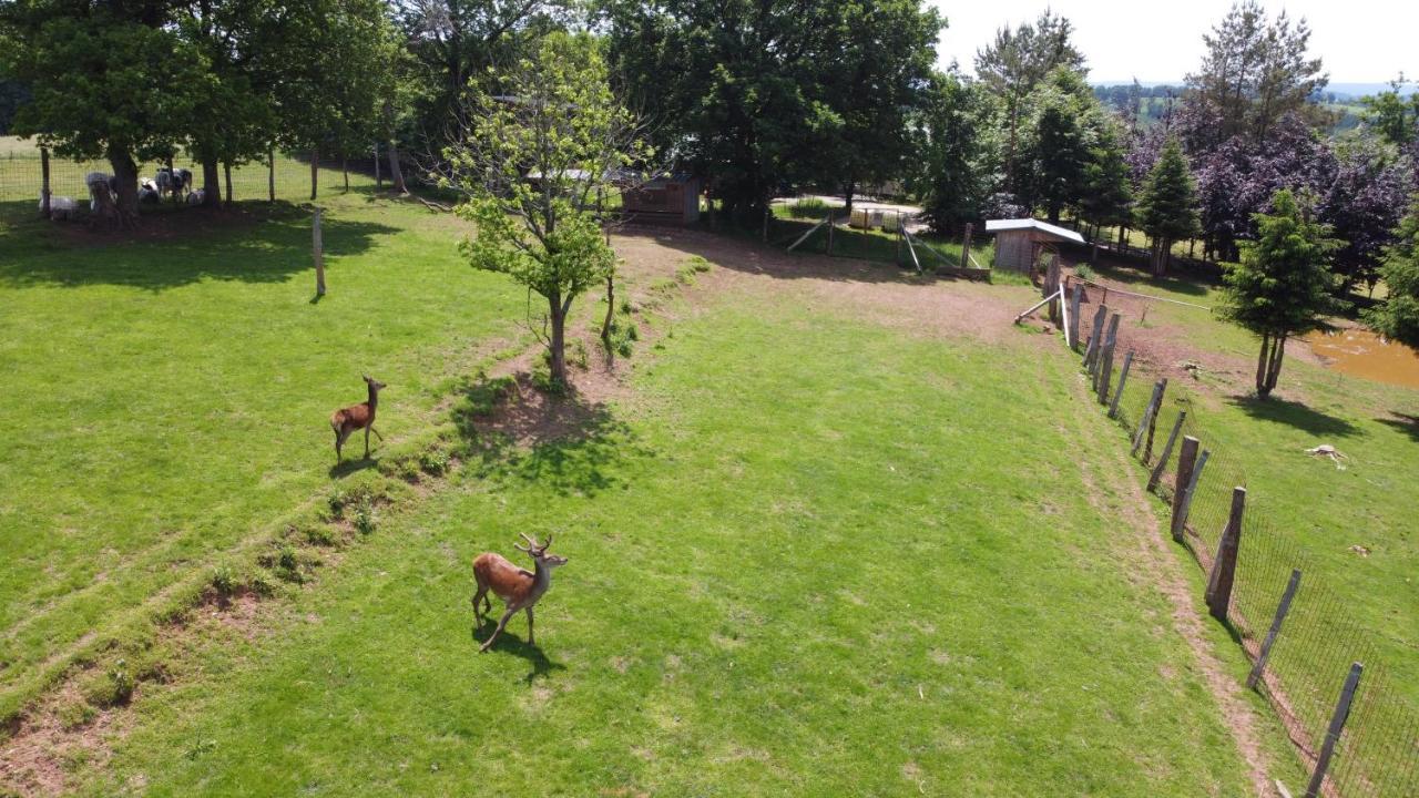 Brochepierre 28 Pers- Vue Exceptionnelle - Malmedy Villa Buitenkant foto